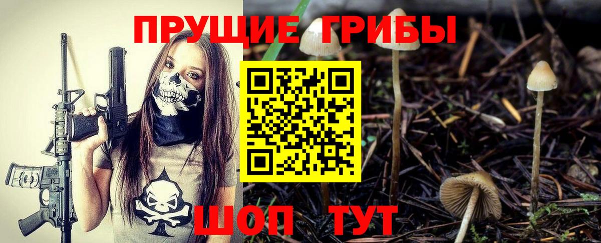 Пугачёв  Галлюциногенные грибы прущие грибы  Псилоцибиновые грибы ЛСД  Вход с VPN 