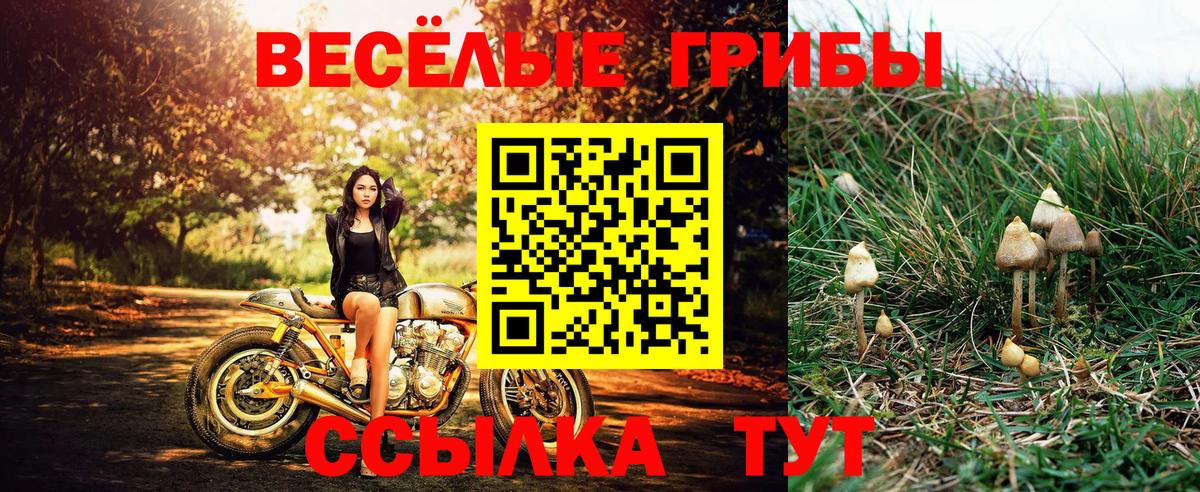 Псилоцибиновые грибы Magic Shrooms Пугачёв